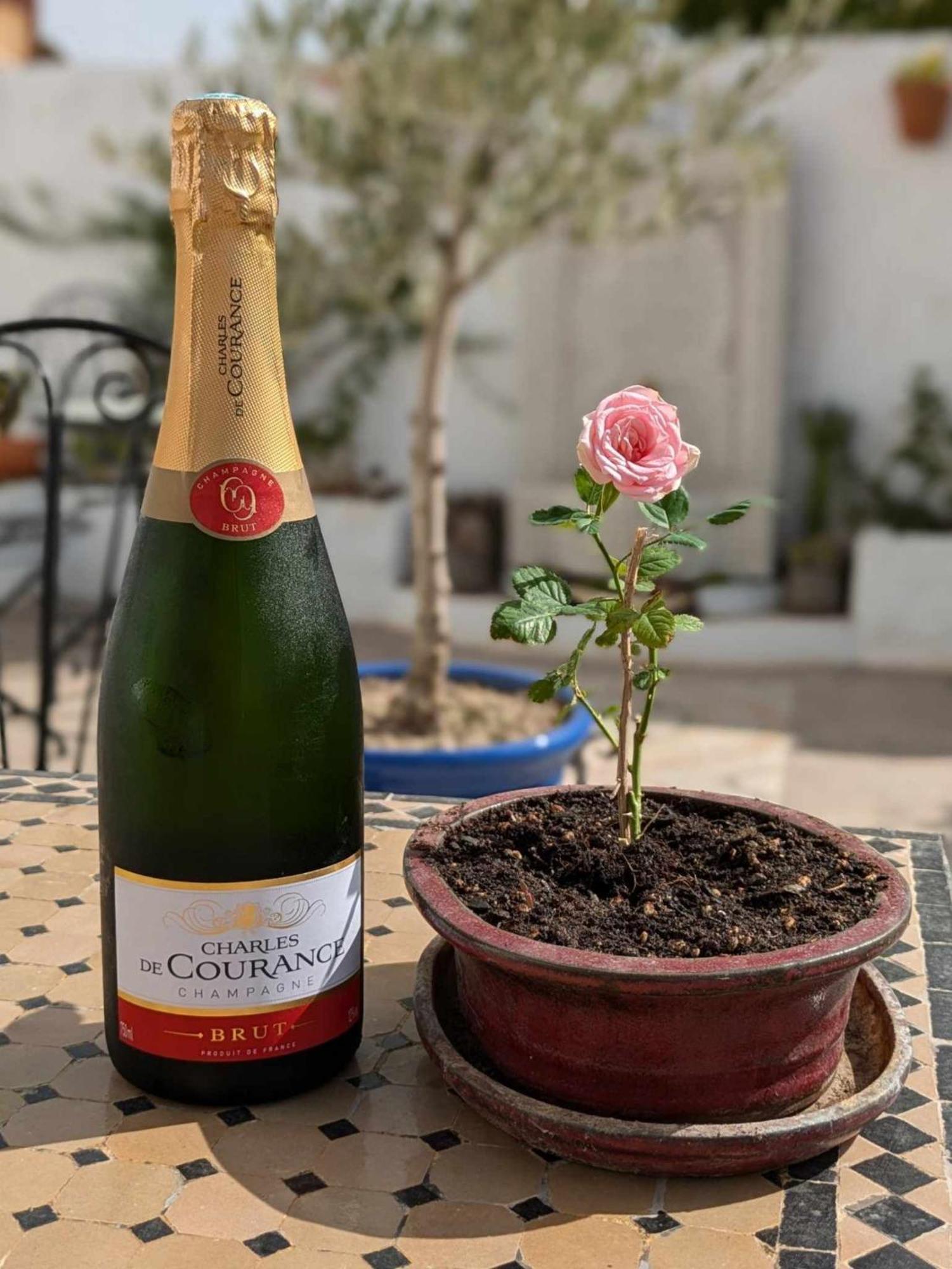 Casa Celeste Trabuco 비야누에바 델 트라부코 외부 사진